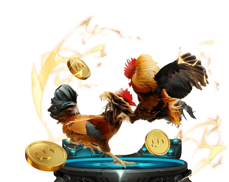 Hoàn Trả Cược Hàng Ngày/Tuần